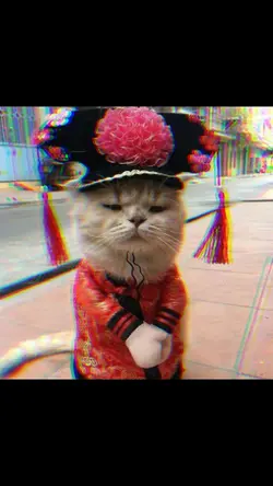 gong xi fa cai