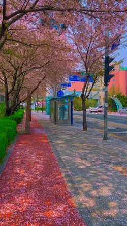Korean vibe