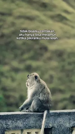 td bsa ku critakan
