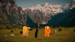 Dancing dog trend