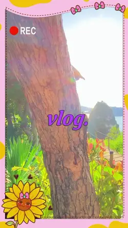 Vlog