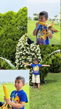 Corn festival 