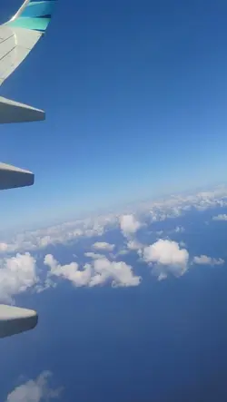Fly and fly again
