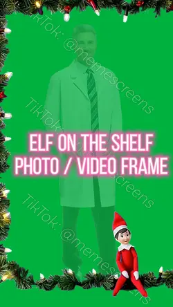 MY ELF ON THE SHELF