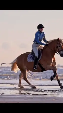 Anja fee Horse 