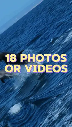 18 Photo Slides