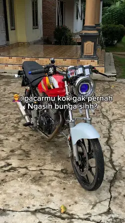 Bahan mu