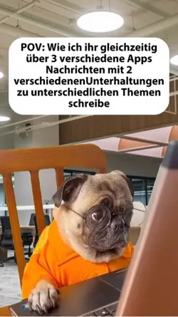 Hund tippt am PC