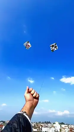 basant Lahore kite
