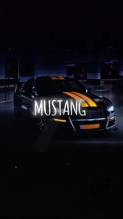Car edit montagem