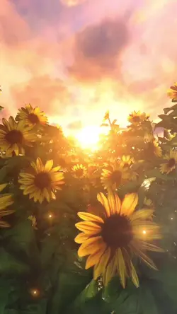 sunflower template 
