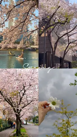 Spring aesthetic