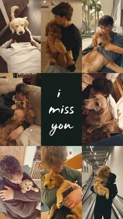 miss my dog