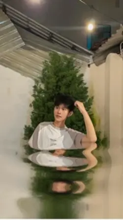 noel 