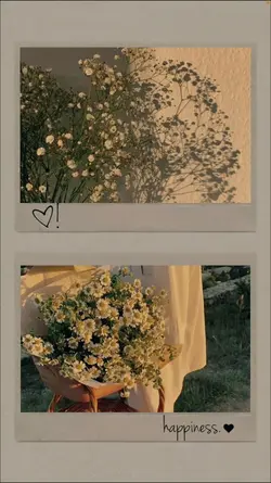 frame aesthetic