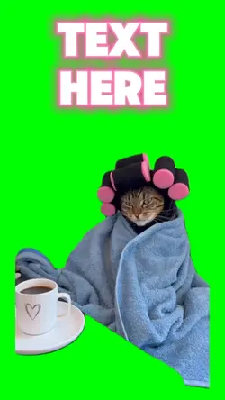 Chill Cute Kitten