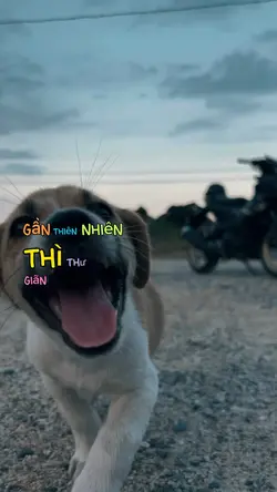 Gần Mực thì Đen Gần 