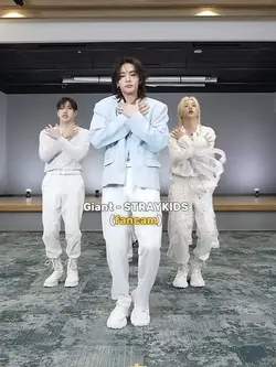 FANCAM