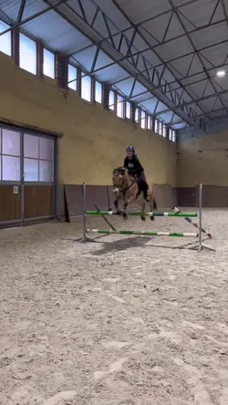 slowmo