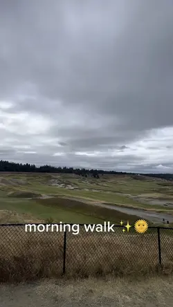 Washington Vibes 