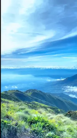 slowmotion 
