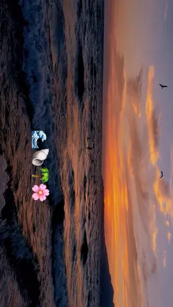🌸🌊🌴🐚