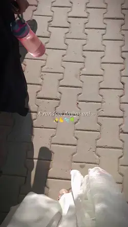 Vlog 