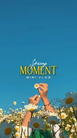 SPRING MOMENT