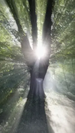 NATURE IS BEAUTIFUL