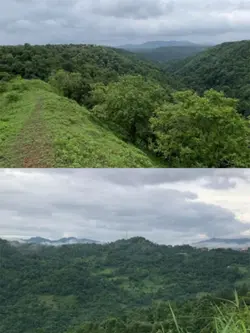 Nature 