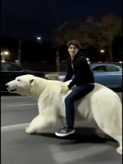Riding a polar bear