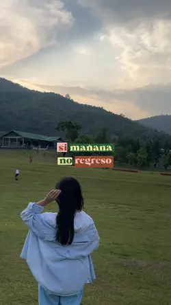 si mañana no regreso