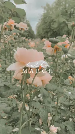 Hello March