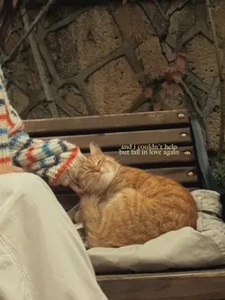 3:4