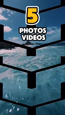 5 photos or videos 