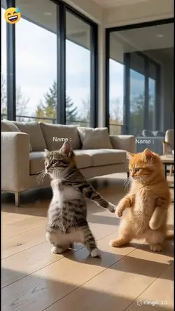 Dance Cat 