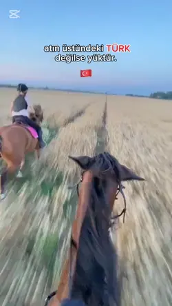 #trantorunu