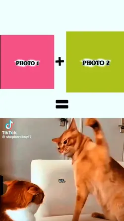 NEW EDIT MASTER
