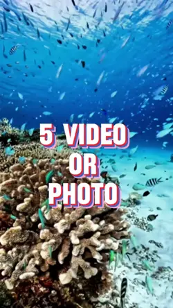 5 Photo Or Video