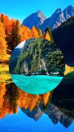 8 video or photo 