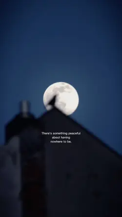 quote night