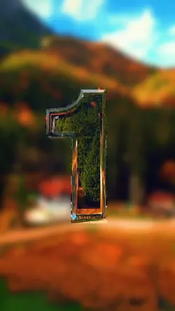6 video or picture 