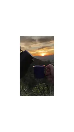Reflexão diaria 