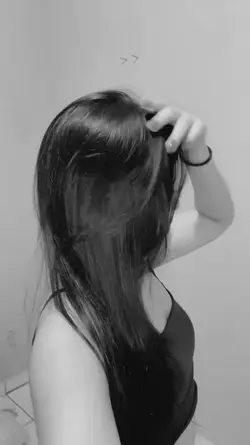 Modelo