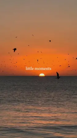 little moments 