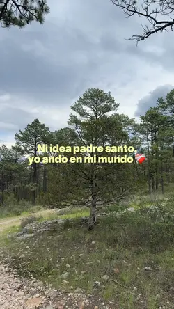 Ni idea padre santo 