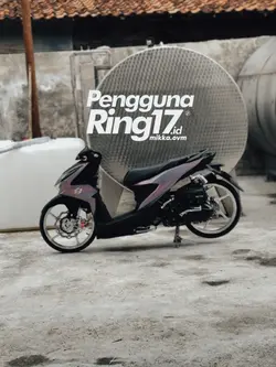 Pengguna RING 17