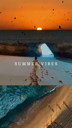 Summer Vibes