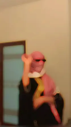 قالب جديد