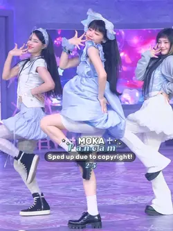 FANCAM